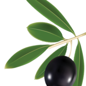 Olive PNG