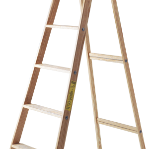 Ladder PNG
