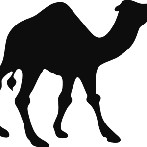Camel PNG