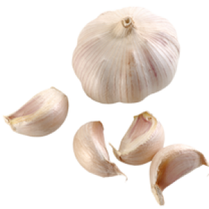 Garlic PNG