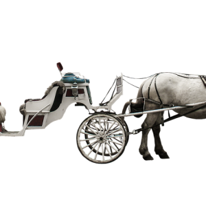 Carriage PNG