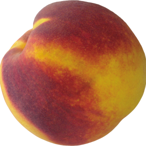 Peach PNG image