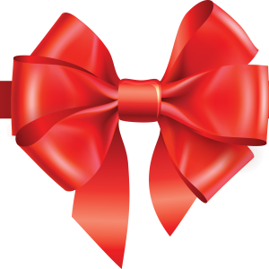 Bow gift PNG image