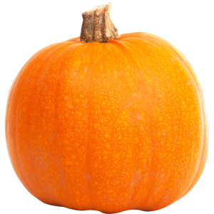 Pumpkin PNG