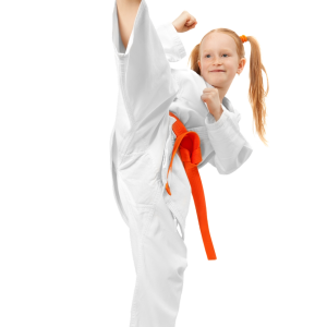 Karate PNG