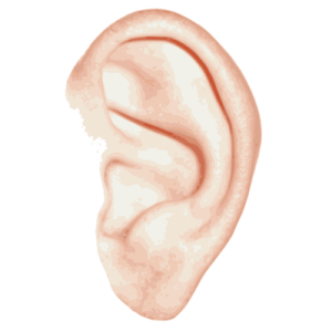Ear PNG