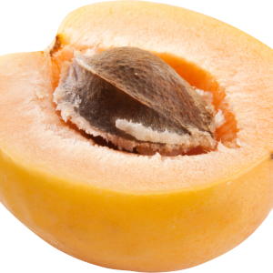 half apricot PNG