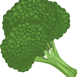 Broccoli PNG