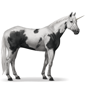 Unicorn PNG