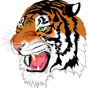 Tiger PNG image, free download, tigers