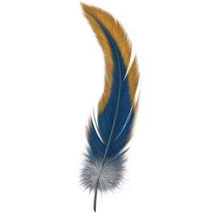 Feather PNG