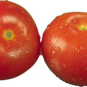 two tomatows PNG picture