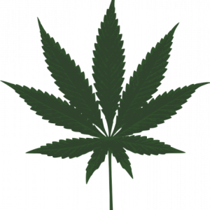 Cannabis PNG