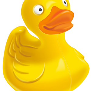 Rubber duck PNG