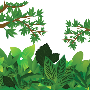 Jungle PNG