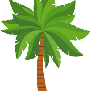 Palm tree PNG