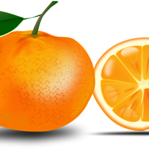 Orange PNG image, free download