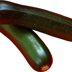 marrow PNG