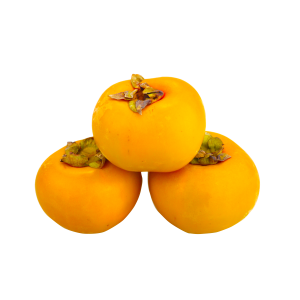 Persimmon PNG