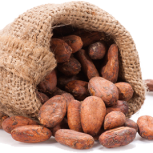 Cacao PNG