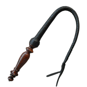 Whip PNG