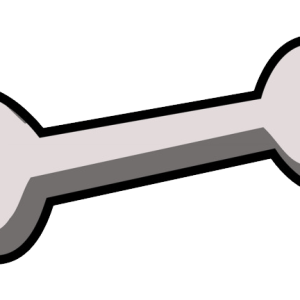Bone PNG