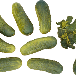 Many cucumbers PNG
