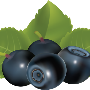 Blueberries PNG
