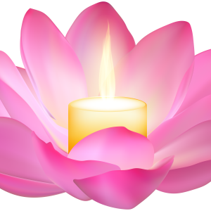 Lotus flower PNG
