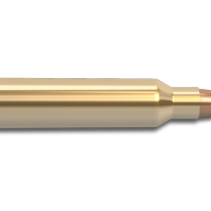 Bullets PNG image