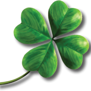 Clover PNG image