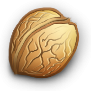 Walnut PNG
