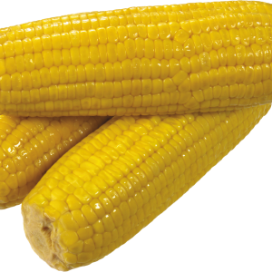 Yellow corn PNG image