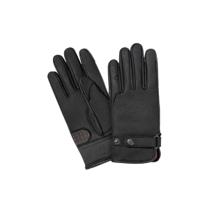 Gloves PNG