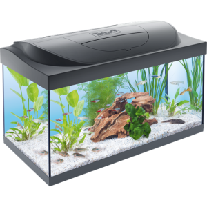 Aquarium PNG