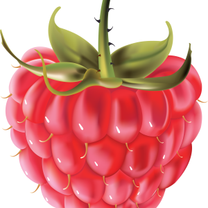 Rraspberry PNG image
