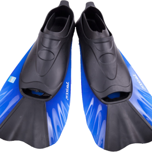 Flippers PNG
