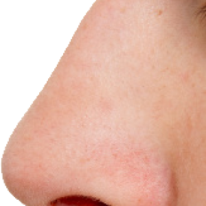 Human nose PNG