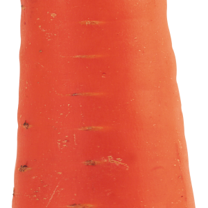 Carrot PNG