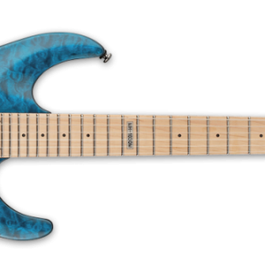 Electric guitar PNG