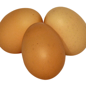 eggs PNG