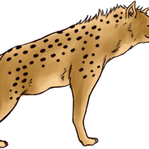 Hyena PNG