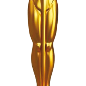 Academy Awards PNG, the Oscars PNG