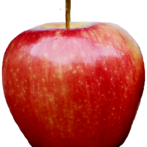 Apple PNG