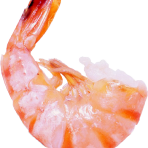 Shrimps PNG