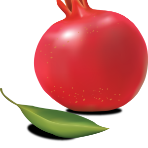 Pomegranate PNG image
