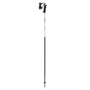 Trekking pole PNG