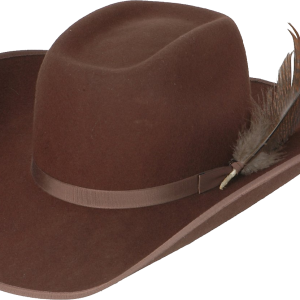 Cowboy hat PNG