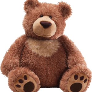 Teddy bear PNG