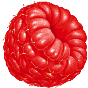 Rraspberry PNG image